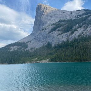 Meet your Posher, Alli